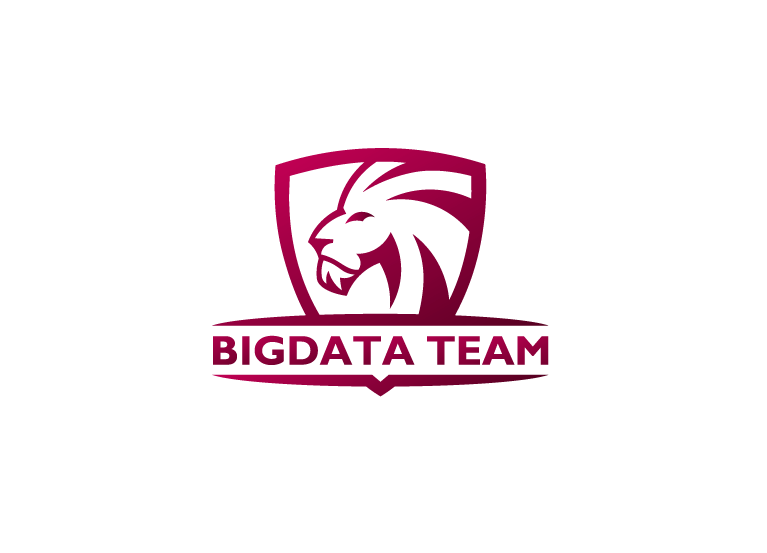 Big Data Team