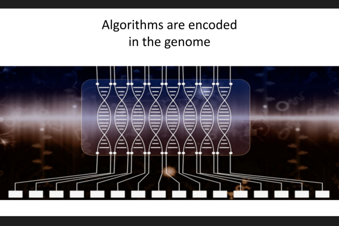 Иллюстрация к новости: Научный доклад "Методы машинного обучения в функциональной геномике"