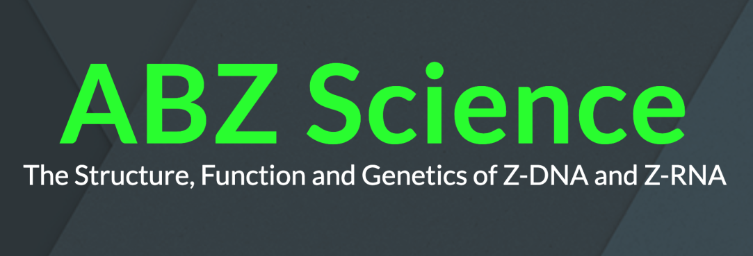 Иллюстрация к новости: Международная конференция ABZ 2022: структура, функции и генетика Z-ДНК и Z-РНК