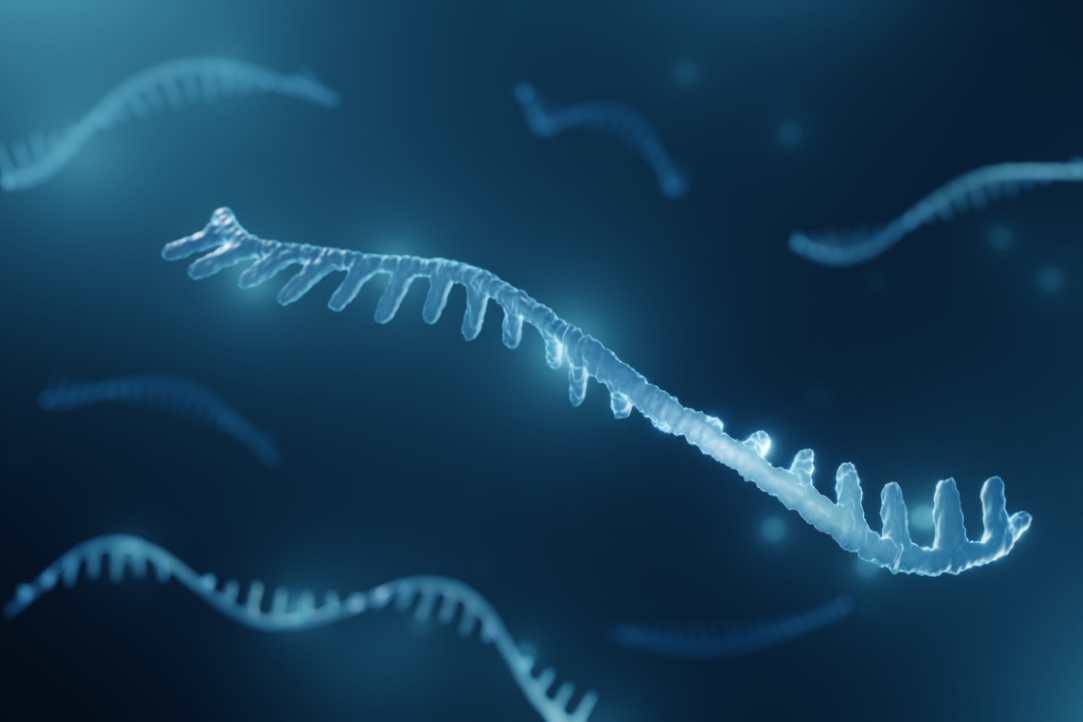 Консервативные микроРНК научились выкручивать флипоны ДНК