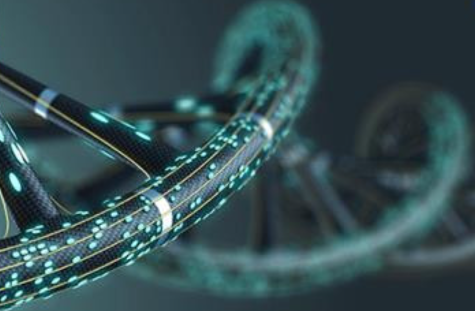 Illustration for news: Interdisciplinary forum “Cardiogenetics and bioinformatics: realities 2023”