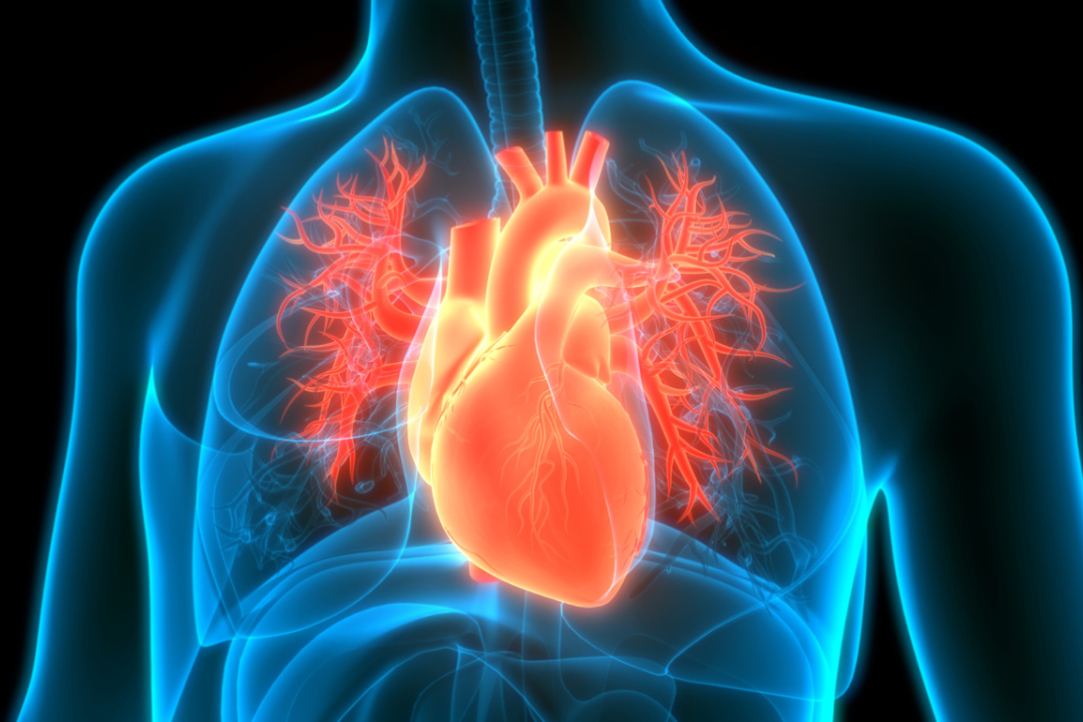 НИУ ВШЭ с партнерами создаст портфель кардиодиагностических продуктов